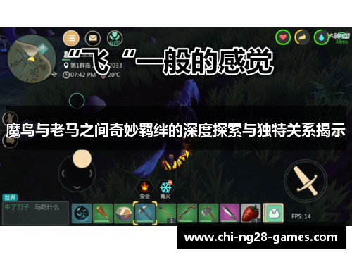 魔鸟与老马之间奇妙羁绊的深度探索与独特关系揭示